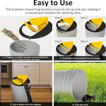 Mouse Rat Trap Flip & Slide - Effective and Safe