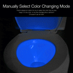 LED Toilet Night Light