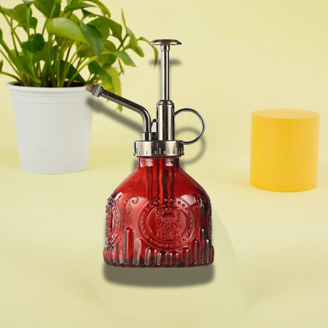 Brumisateur Rétro Chic pour Plantes d'Intérieur
