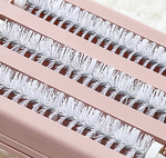 Balayeuse de Tapis TurboBroom avec Collecteur de Déchets