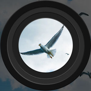 Long Range Night Vision Binoculars