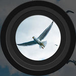 Long Range Night Vision Binoculars