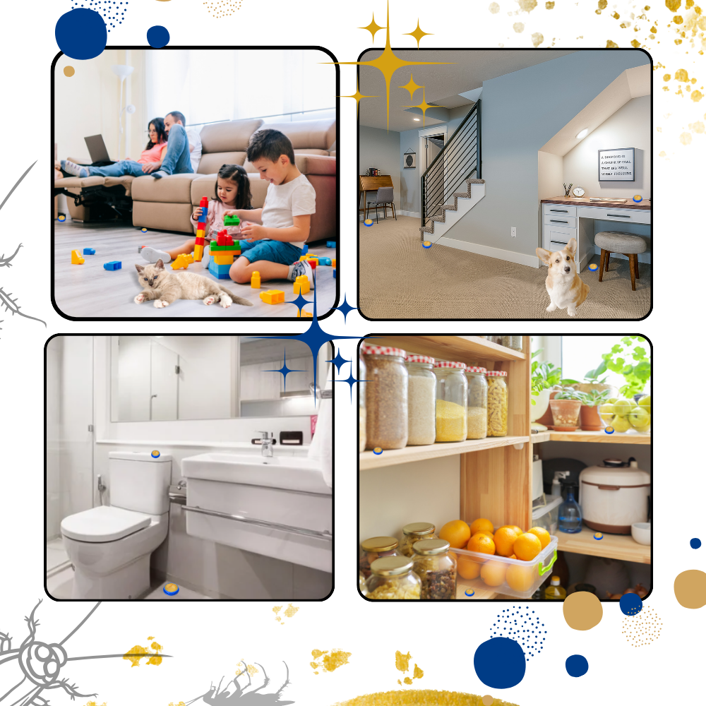 Odorless Cockroach Traps