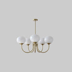 Lustre Macaron Élégance Florale Suspendu Design