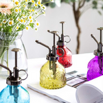 Brumisateur Rétro Chic pour Plantes d'Intérieur