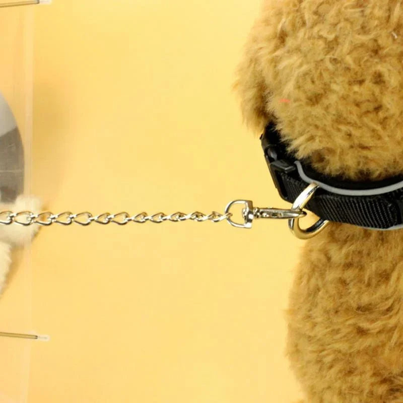 Dog umbrella with integrated leash