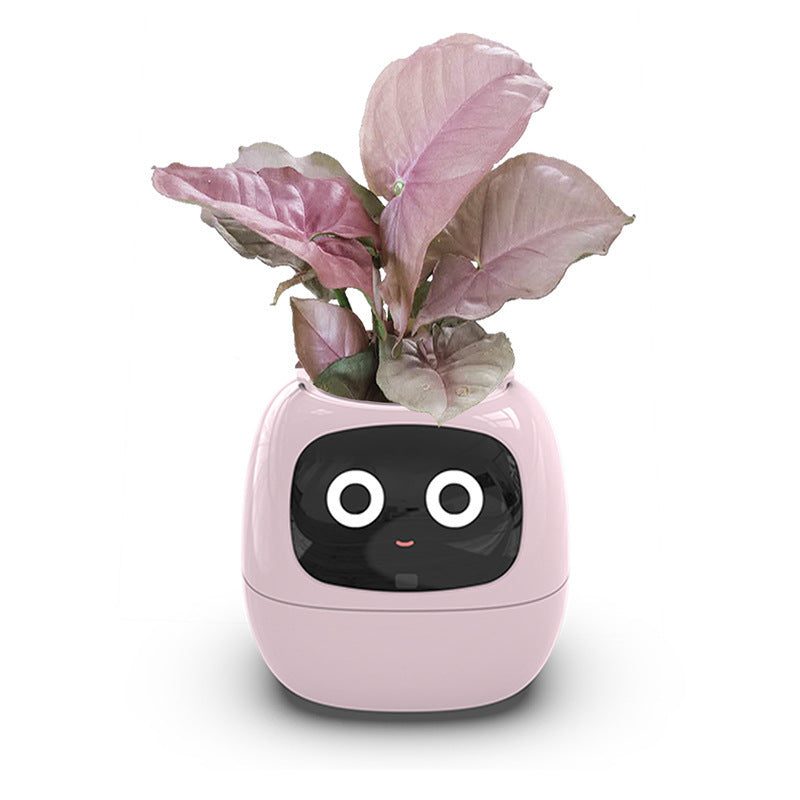 IvyBot Robot: Innovative Connected Plant Companion