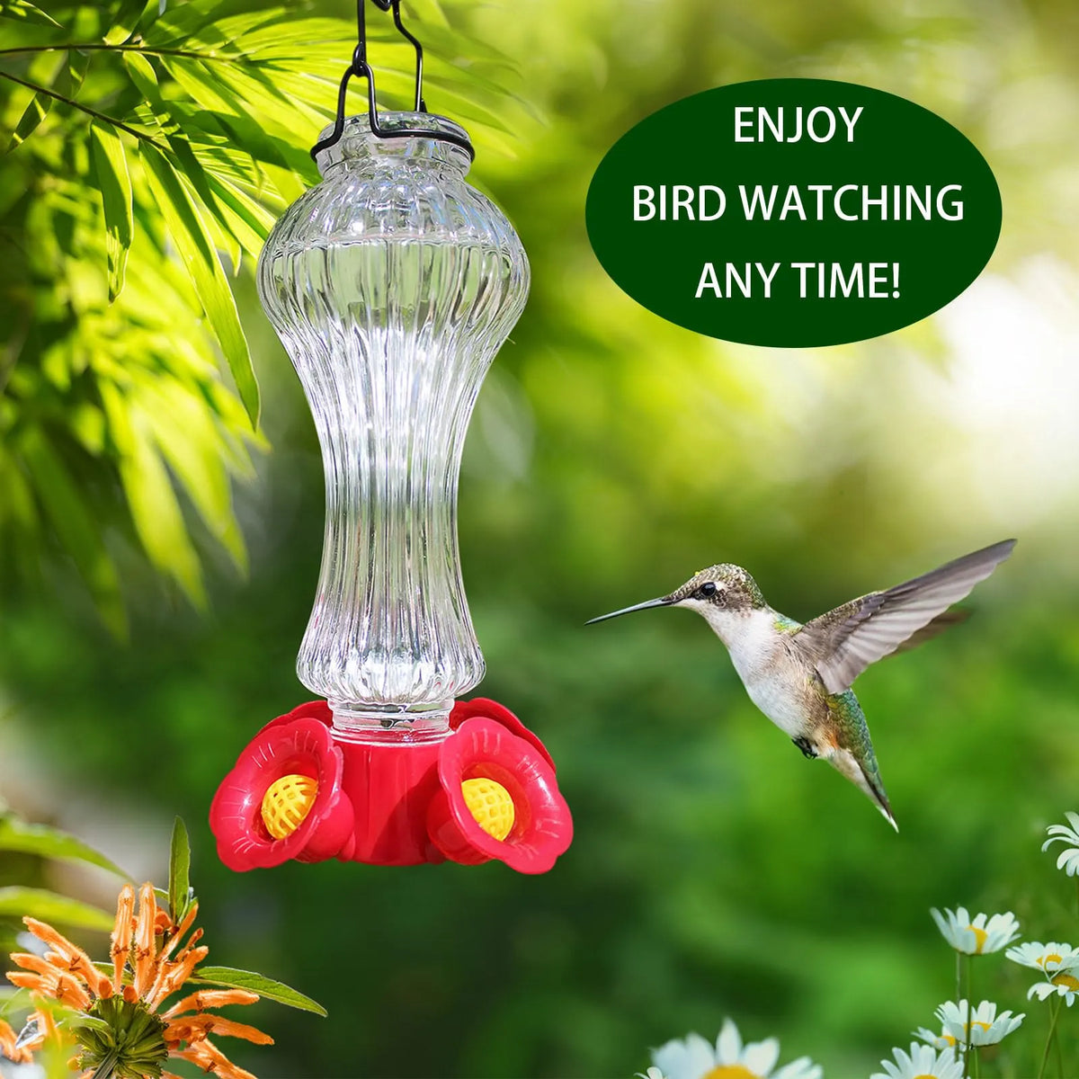 Mangeoire colibri en verre anti-fourmis