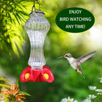 Mangeoire colibri en verre anti-fourmis
