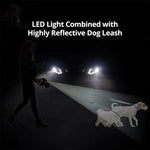 Dual Dog Leash with Flashlight and Waste Bag