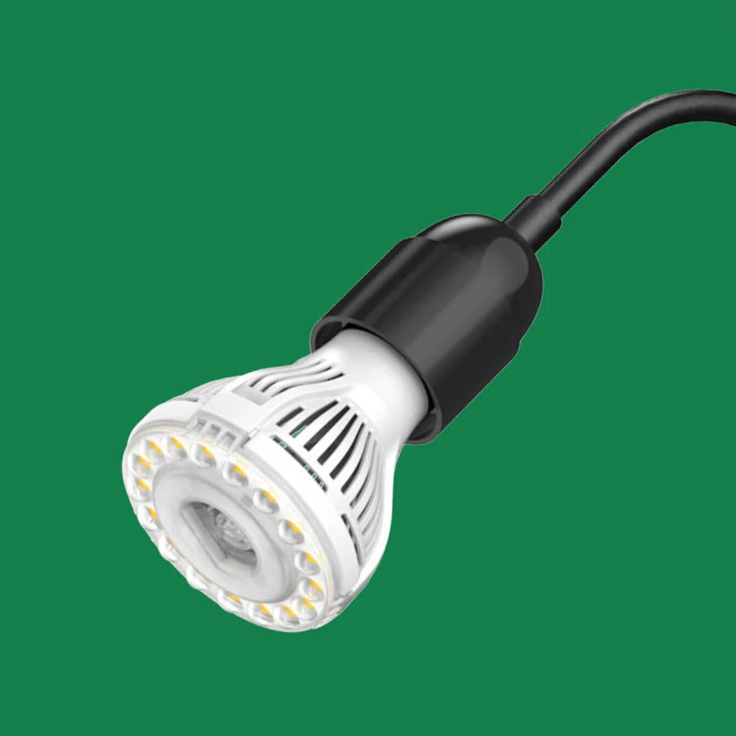 Lampe LED Gooseneck pour Plantes d'Intérieur, Spectre Complet