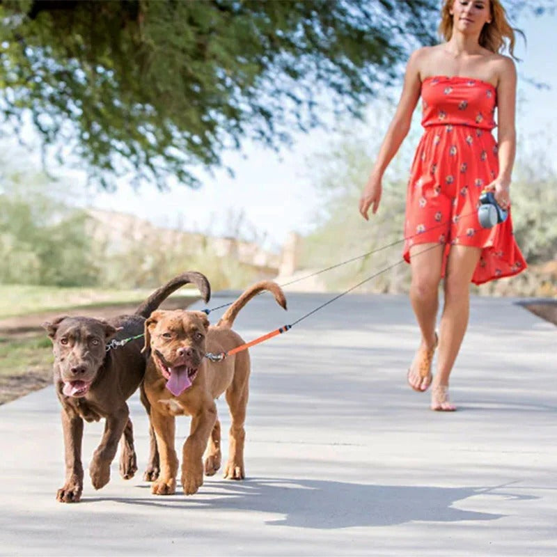 Dual Dog Leash with Flashlight and Waste Bag