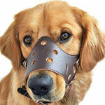 Dog Muzzle with Breathable Bite Guard