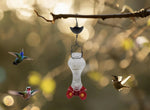 Mangeoire colibri en verre anti-fourmis