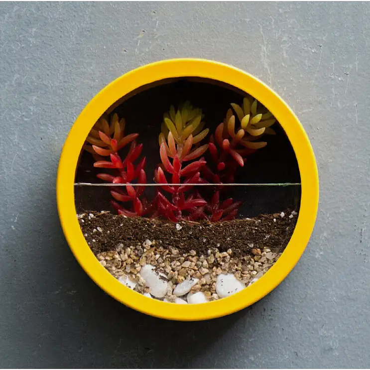 Elegant Wall Flower Pot for Wall Decoration