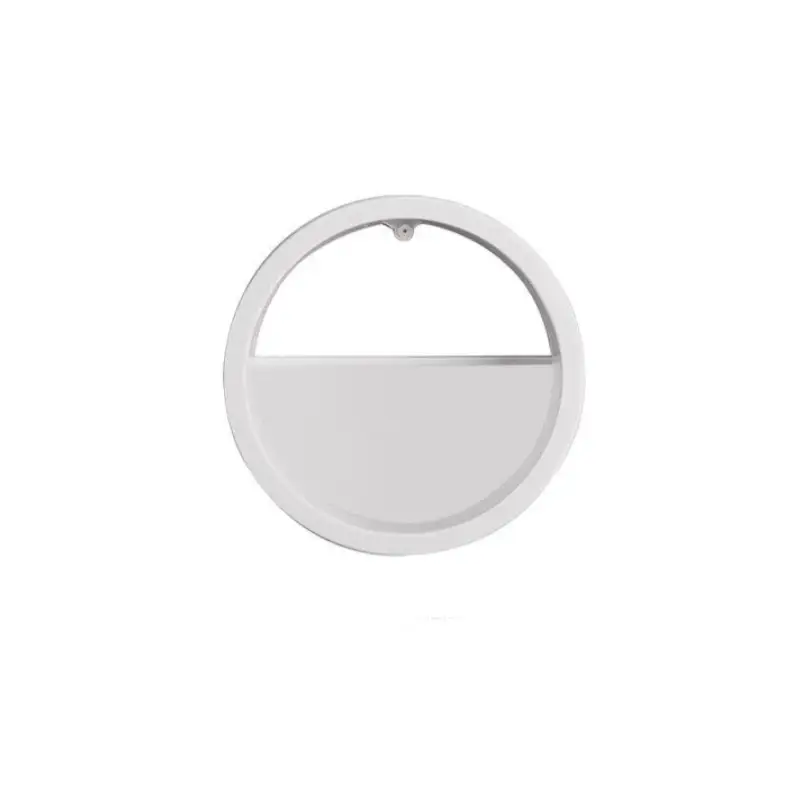 Elegant Wall Flower Pot for Wall Decoration