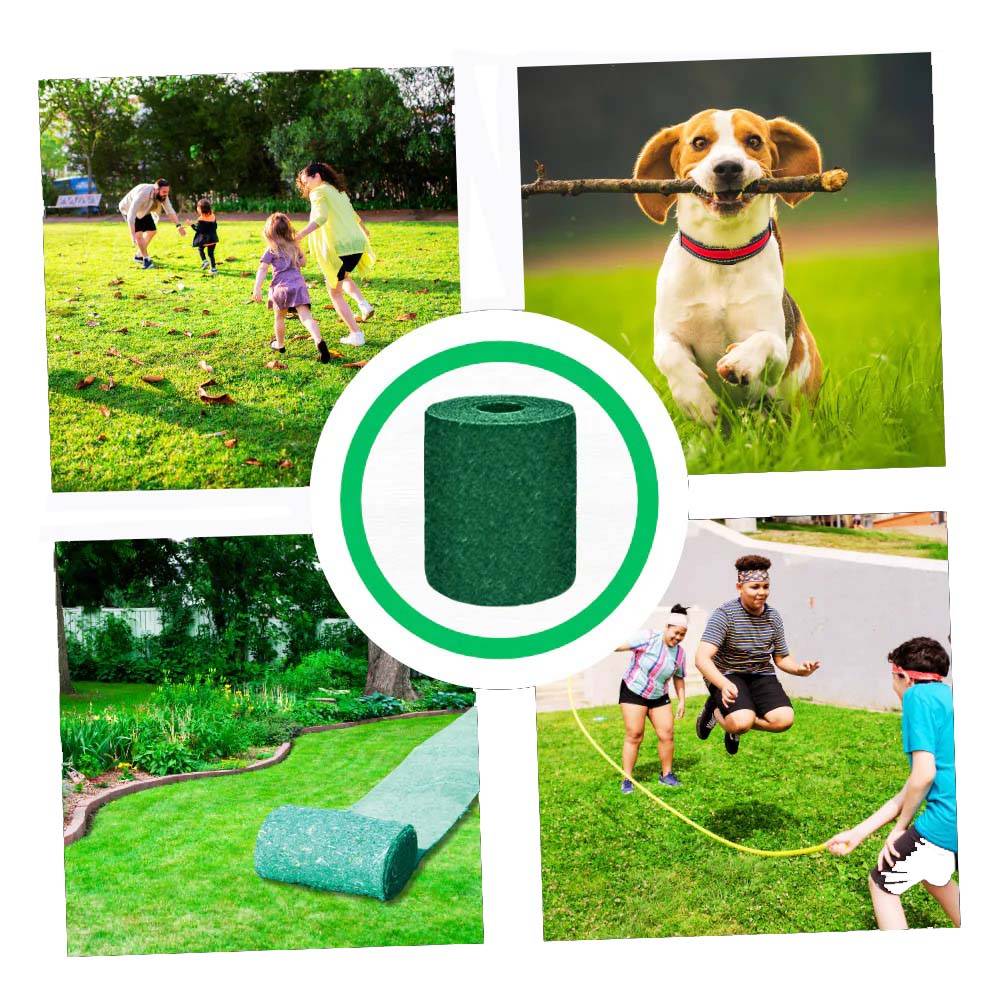 Fast-Grow Green Grass Seed Mat