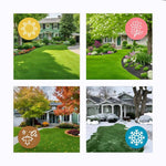 Fast-Grow Green Grass Seed Mat