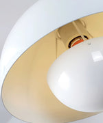 Éclat Floral Suspendu Élégance Aérienne