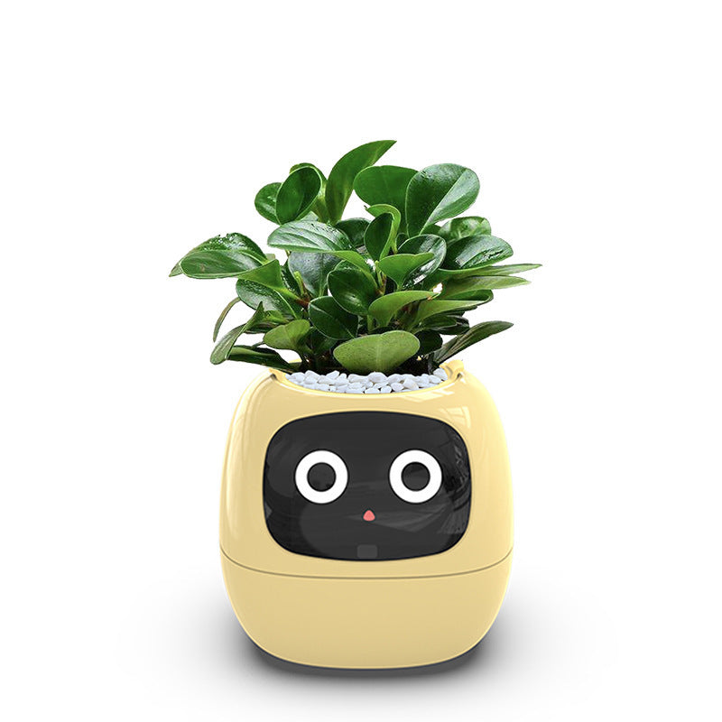IvyBot Robot: Innovative Connected Plant Companion