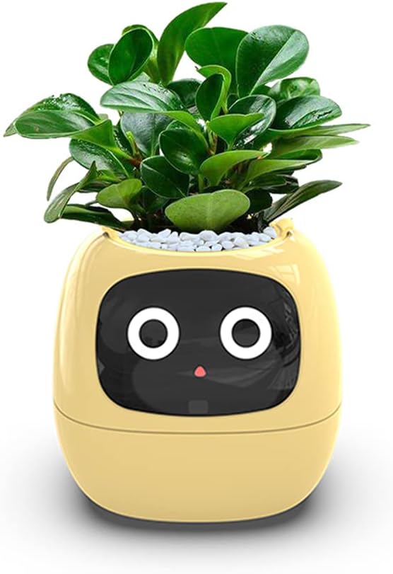 IvyBot Robot: Innovative Connected Plant Companion