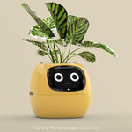IvyBot Robot: Innovative Connected Plant Companion