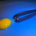 OvoNet: Magic Tool for Perfect Eggs