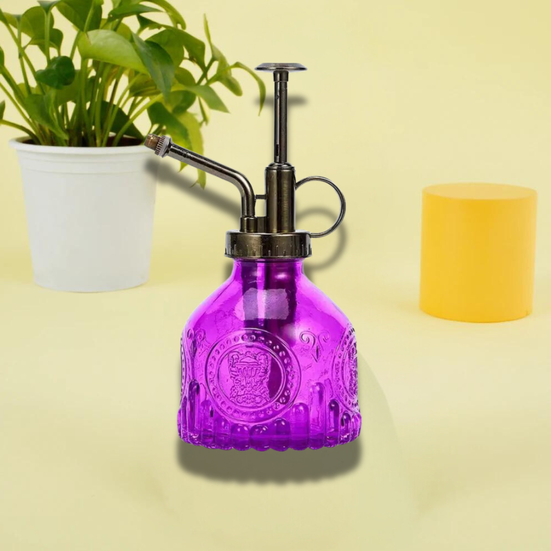 Brumisateur Rétro Chic pour Plantes d'Intérieur