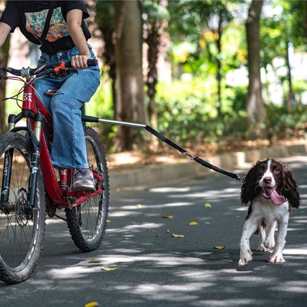 Dog Bike Tow Leash