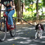 Dog Bike Tow Leash