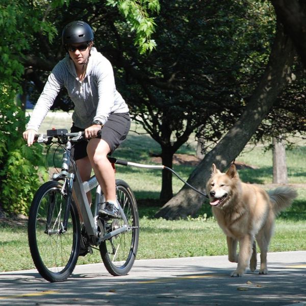 Dog Bike Tow Leash