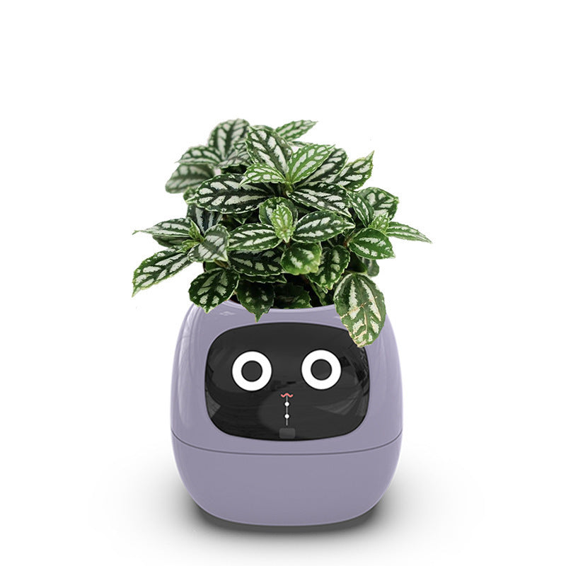 IvyBot Robot: Innovative Connected Plant Companion