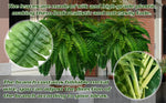 Outdoor UV-Resistant Lifelike Boston Fern
