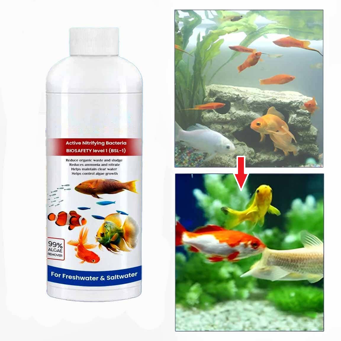 3-Pack Fish Tank Cleaning Solution