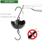 Mangeoire colibri en verre anti-fourmis