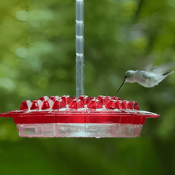 Mangeoire colibri avec piège fourmis intégré