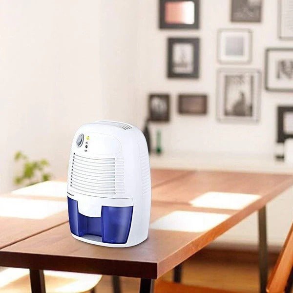 Déshumidificateur Portable Puissant pour Maison et Garage