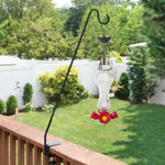 Mangeoire colibri en verre anti-fourmis