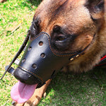 Dog Muzzle with Breathable Bite Guard
