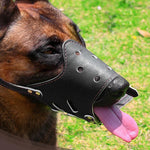 Dog Muzzle with Breathable Bite Guard