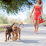 Dual Dog Leash with Flashlight and Waste Bag
