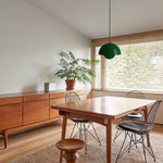 Éclat Floral Suspendu Élégance Aérienne