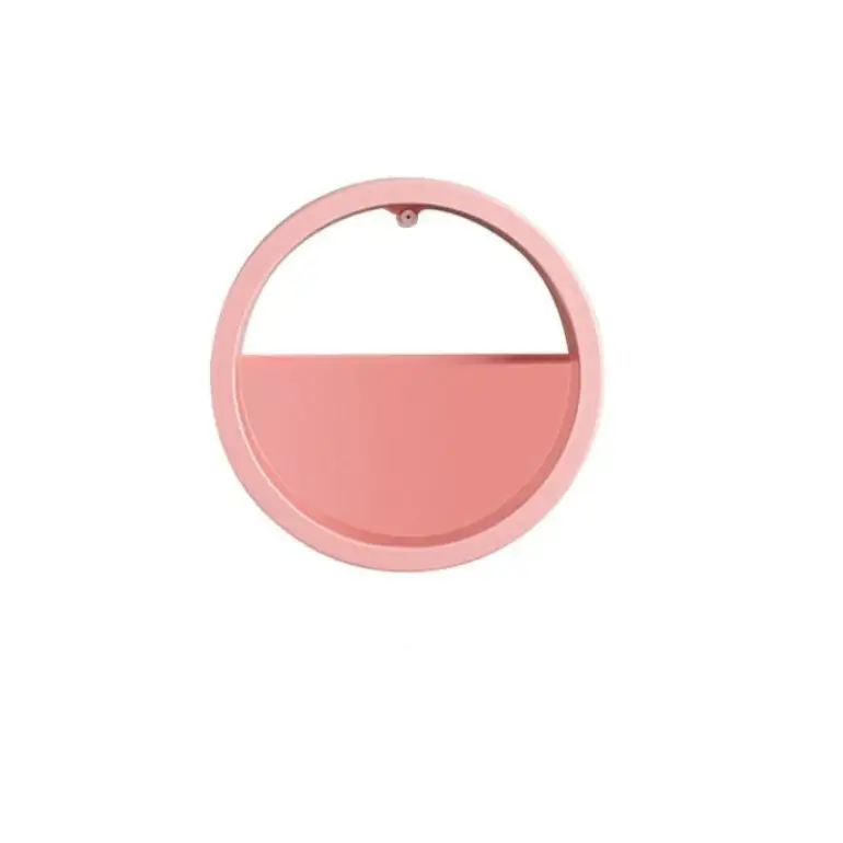 Elegant Wall Flower Pot for Wall Decoration