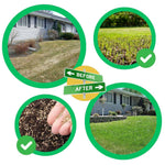 Fast-Grow Green Grass Seed Mat
